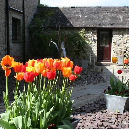 Birslack Grange Kendal Eksteriør bilde